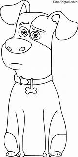 Colorful And Fun The Secret Life Of Pets Coloring Pages sketch template