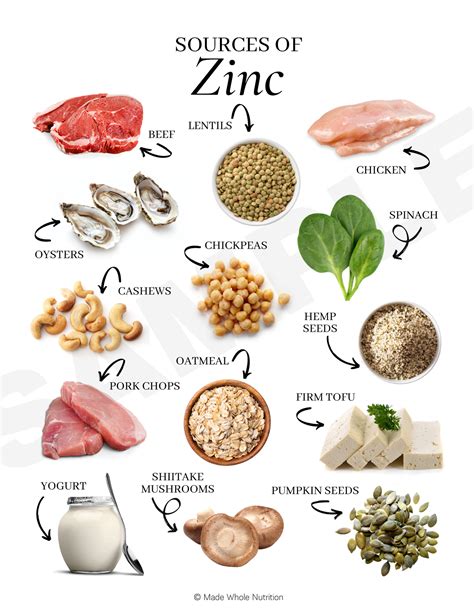 Sources of Zinc Handout — Functional Health Research + Resources — Made Whole Nutrition