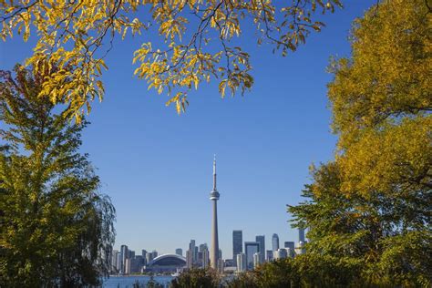 Where to Enjoy the Fall Foliage in Toronto