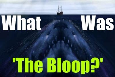 UPDATE: What Was 'The Bloop?' | Science nature, Unexplained phenomena ...