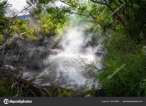 Rotorua hot springs, New Zealand Stock Photo by ©daboost 182730096