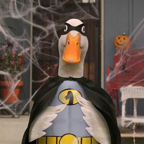 Da Na na Na na Na na Na na Na na, Aflac! Aflac duck Halloween costume 2014 | Cute ducklings, Pet ...