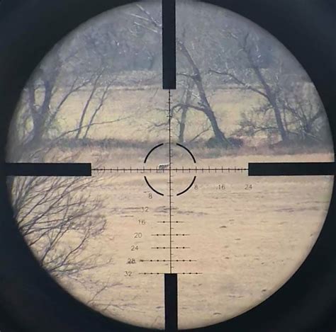 Long Range Shooting - Using a BDC scope reticle