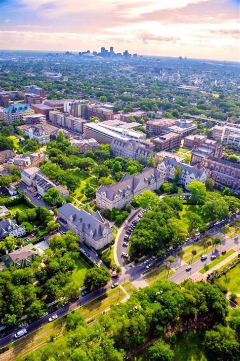 20 Reasons Why You Should Never Go to Tulane | Tulane, Tulane university, School campus