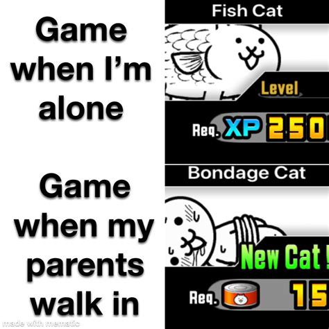 Battle Cats : r/memes