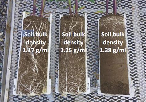 Evaluating your soil's structure | Farmtario