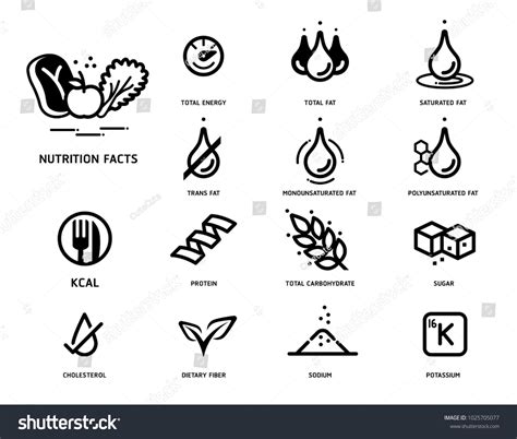 Nutrition Facts Icon Concept Symbols Nutrients Stock Vector (Royalty ...