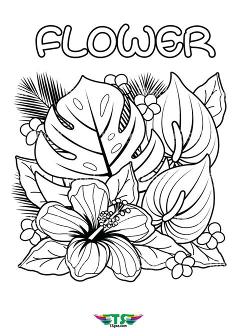 Beautiful Flower Easy to Coloring For Kids - TSgos.com - TSgos.com