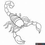 Scorpion Coloring Page sketch template