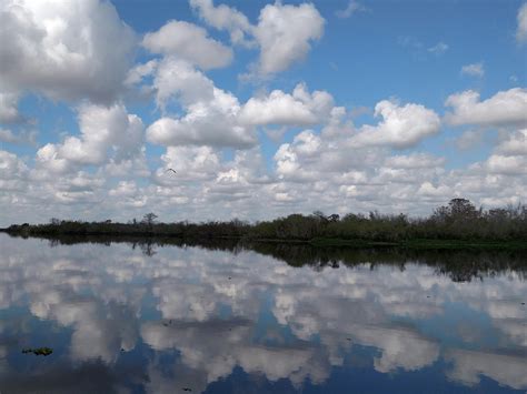 ST. JOHNS RIVER WILDLIFE TOURS (Satellite Beach) - 2023 What to Know BEFORE You Go