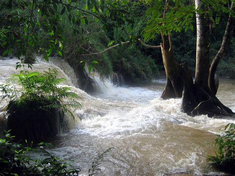 Are dams killing the Mekong river? - Water Justice Hub