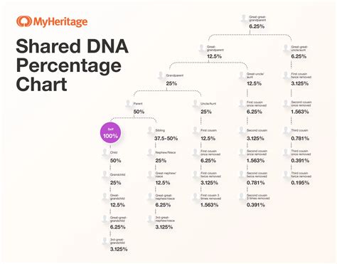 Shared DNA: How Much DNA Do You Share With Your Relatives? - MyHeritage Knowledge Base