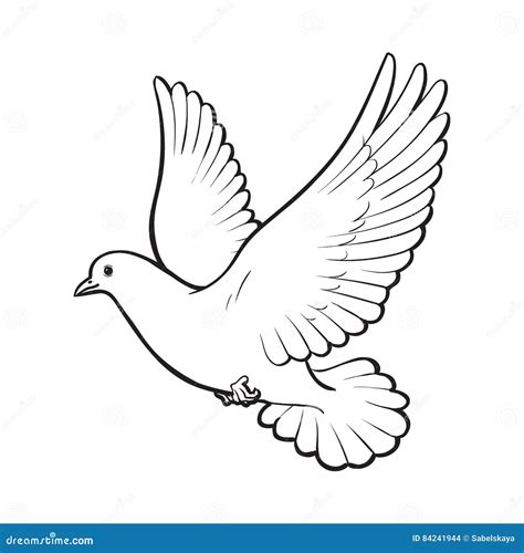 Free Flying White Dove, Isolated Sketch Style Illustration Stock Vector - Illustration of ...