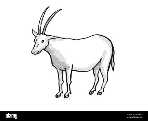 oryx de schimitar ou oryx à cheval de schimitar en voie de disparition Dessin de la ligne Mono ...