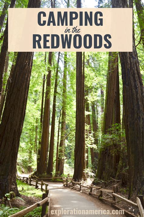 Camping in the Redwoods - Tent Sites & Campgrounds We Stayed At