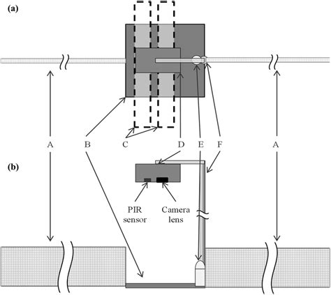 Camera-trap station setup. The a) plan view and b) profile view of the ...