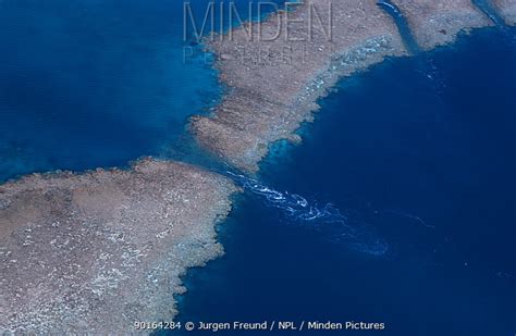 stock photo - Minden Pictures