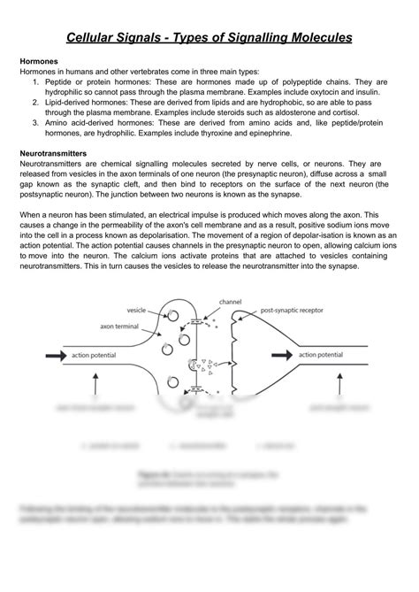 Types of signalling molecules | Biology - Year 12 VCE | Thinkswap