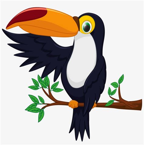 Toucan Bird Drawing | Free download on ClipArtMag