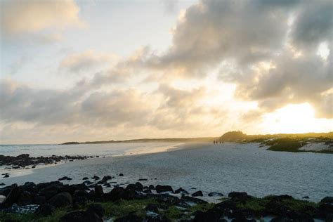 20 Best Beaches in Galapagos (All the Islands): Complete Guide