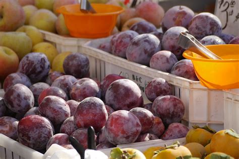 Plumcots vs. Pluots: What’s the Difference? – Recette Magazine