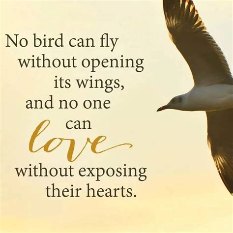 Best Bird Quotes to Inspire your Love for Nature