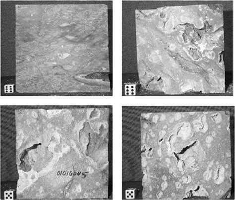 Examples of tuff specimens tested in this study. | Download Scientific ...