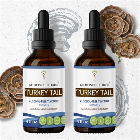 Turkey Tail Tincture Alcohol-FREE Extract, Wildcrafted Turkey Tail (Trametes Versicolor) Dried ...