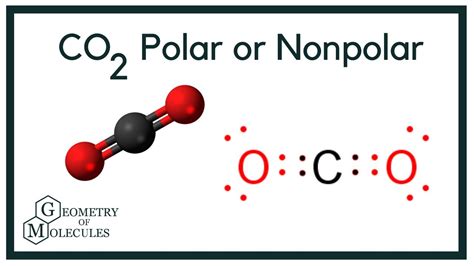 Is CO2 Polar or Nonpolar? (Carbon Dioxide) - YouTube