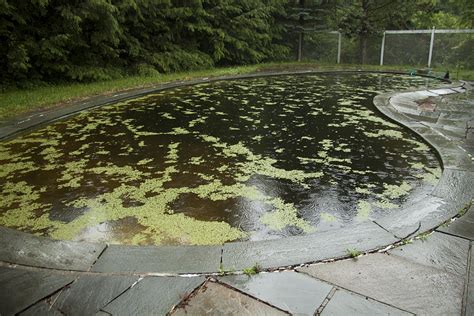 Black Algae Pool Photograph by Jason Allen | Fine Art America