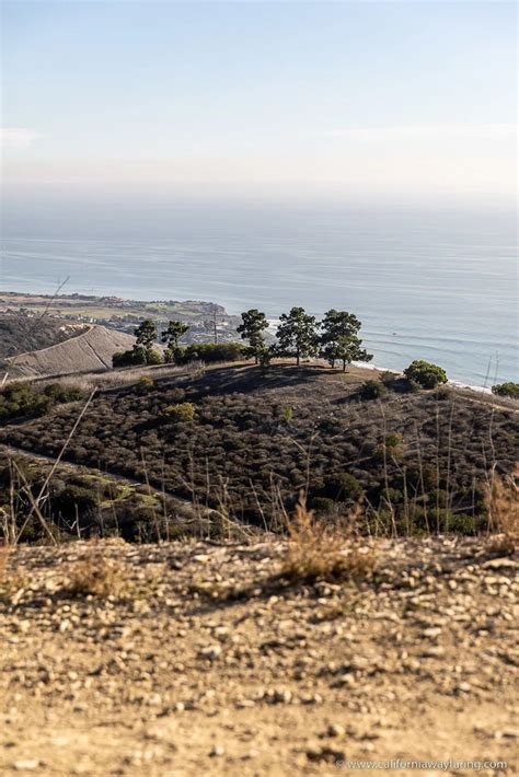 Portuguese Bend Reserve Hike in Rancho Palos Verdes, California