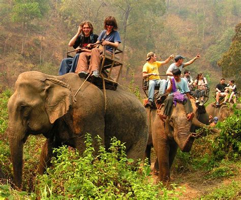 Northern Thailand - elephant riding 03