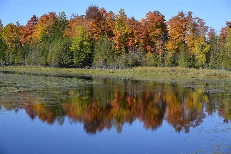 Calabogie Lake Map - Ontario - Mapcarta