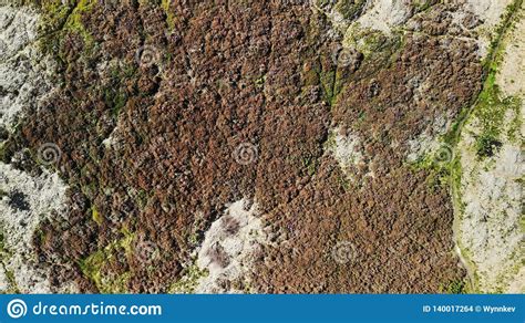 Abstract Moorland Landscape Stock Photo - Image of aerial, moorland ...