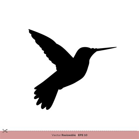 Hummingbird - Bird Silhouette Vector Logo Template Illustration Design ...