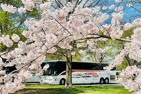 Washington - Cherry Blossom Time (2024) | Christian Tours – Motorcoach/Bus charters, rentals ...