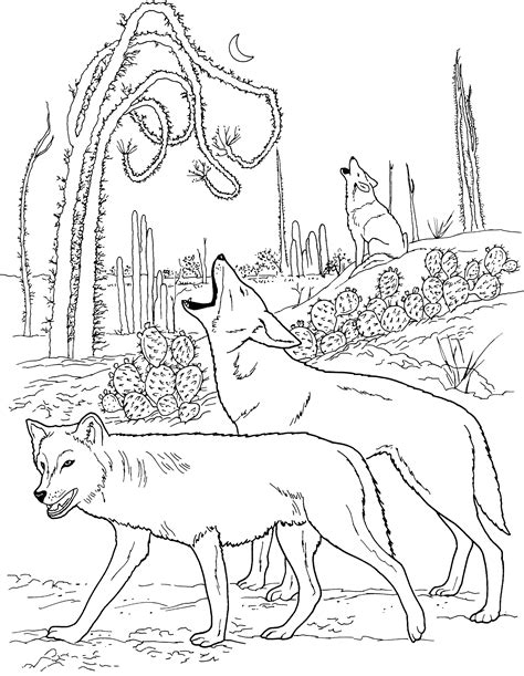 Free Wolf Coloring Pages