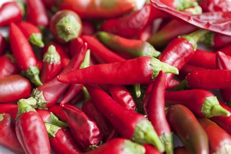 Background of red hot chili peppers - Free Stock Image
