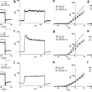 Antagonists of histamine receptors reduced the enhancement with... | Download Scientific Diagram