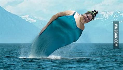 Googled fat whale. Was not disappointed - 9GAG