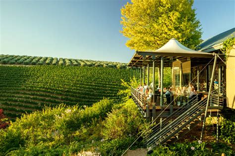 The 32 Best Restaurants on Wine Farms in the Cape