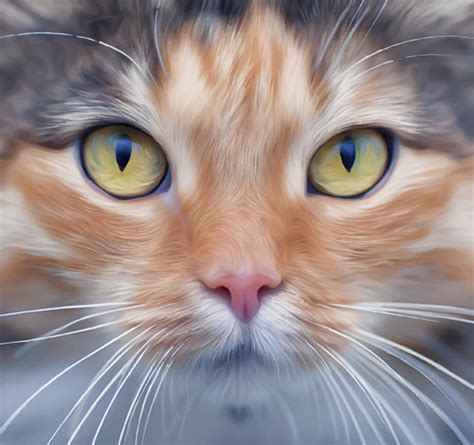 Realistic cat face design vector Vectors graphic art designs in ...