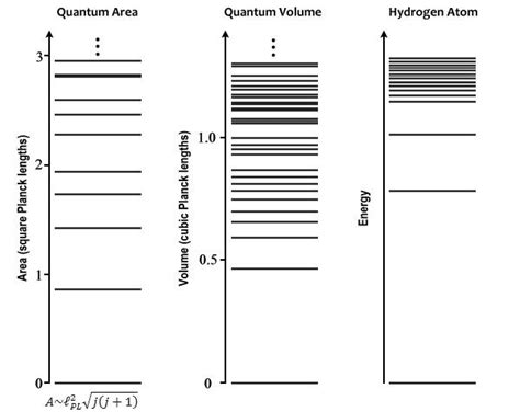 Elementary Particles and the World of Planck Scale