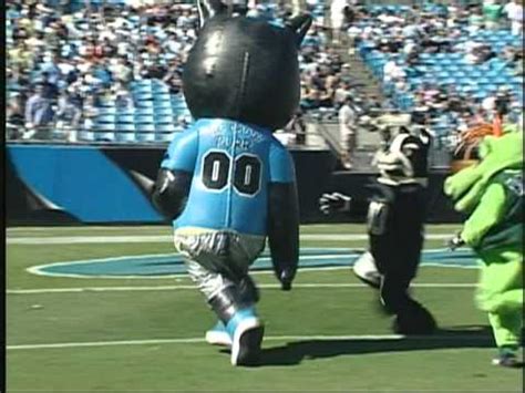 Carolina Panthers Mascot Bowl XII - YouTube