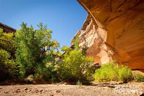 Hiking Natural Bridges National Monument - Nomadic Moments