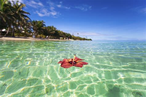 Choose Your Island in Fiji | GOGO Vacations Blog