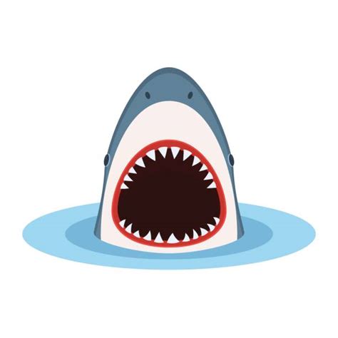 Shark Illustrations, Royalty-Free Vector Graphics & Clip Art - iStock