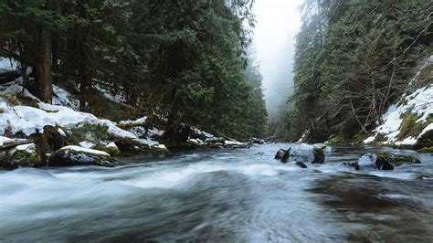 Salmon River | Oregon Wild & Scenic