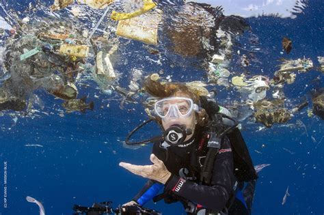 Women environmental activists are nothing new | Environmental activist ...