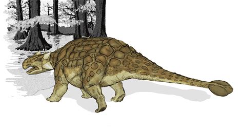 Facts About Ankylosaurus, the Armored Dinosaur